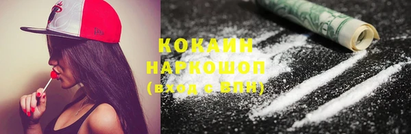 гашик Белокуриха