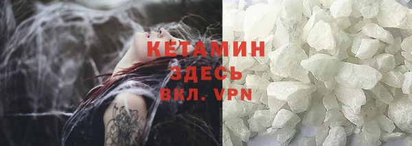 индика Карпинск