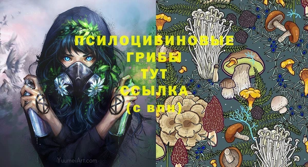 2c-b Белоозёрский