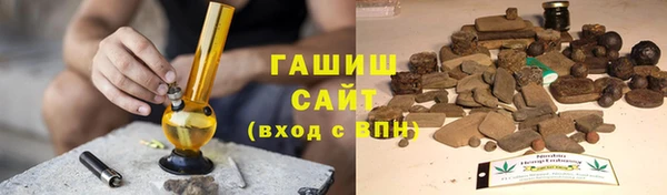 гашик Белокуриха