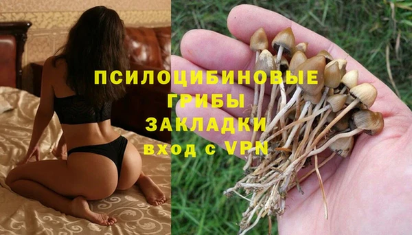 мдпв Беломорск