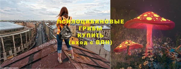 гашик Белокуриха