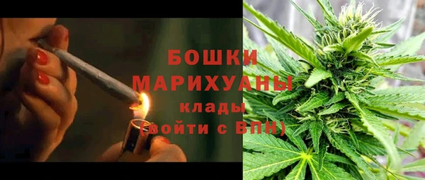 гашик Белокуриха