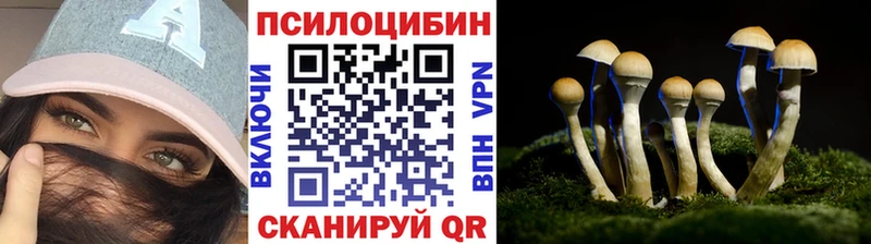 Псилоцибиновые грибы мухоморы  kraken как зайти  сайты даркнета состав  Краснослободск 