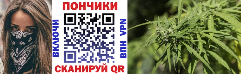 где найти   Краснослободск  Бошки Шишки ГИДРОПОН 